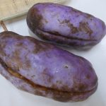 巨大アケビ食べてみた