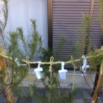 新野のお正月