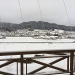 やっと冬景色　雪です。