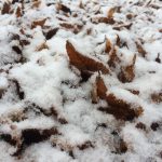 新野高原は春の雪