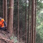 田舎で暮らす★山を整備し、山を育て、里を護る 山師 まぁーくん