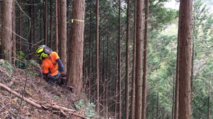 田舎で暮らす★山を整備し、山を育て、里を護る 山師 まぁーくん