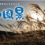新野の盆踊り ＮＨＫラジオ「音の風景」全国放送