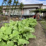 家賃３．５万円！　戸建て３ＤＫ 水洗トイレ・風呂・キッチンリフォーム済み　家庭菜園付き【入居済み】