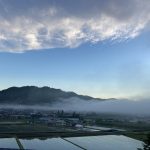 朝霧の南信州新野高原