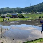 2021年5月 田植え体験