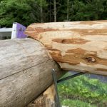 間伐材で小屋作り 梁で逆上がりできた！
