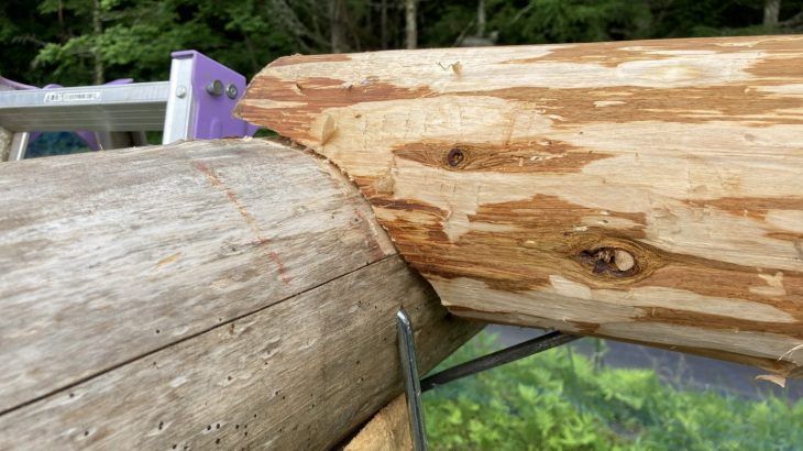 間伐材で小屋作り 梁で逆上がりできた！