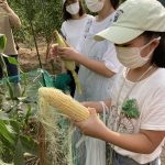 夏の爽やか南信州新野高原 山村移住体験
