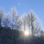 至福の時間が流れる山里暮らし　白樺/コーヒー/雪/ログハウス/薪ストーブ