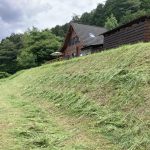 田舎暮らしの必須技術 チップソーの研磨&刈り払い機のコツ