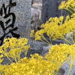 8月1日はお墓掃除の日