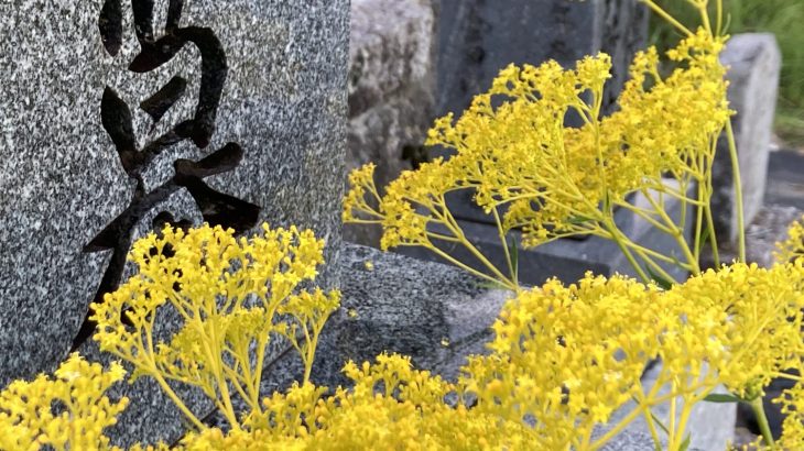 8月1日はお墓掃除の日