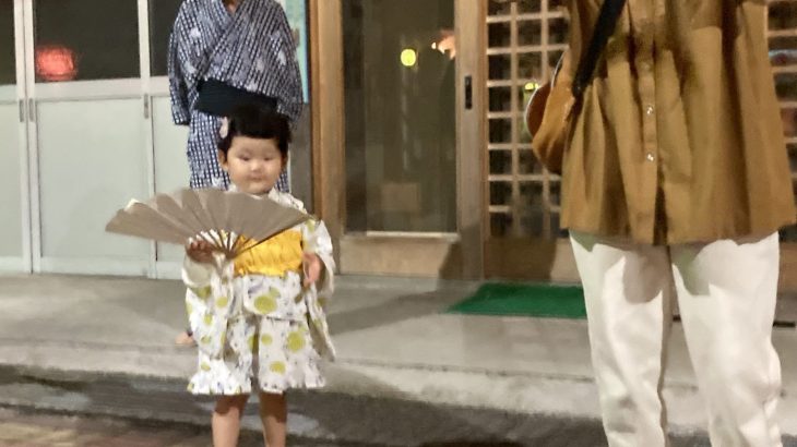 祖先から未来へ家族の絆つなぐ 南信州「新野の盆踊り」1日目