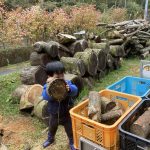 秋の山村移住体験 半農半Xの生活/子どもがのびのび育つ DeepJapan新野高原