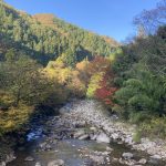 鹿の鳴き声と姿を撮影成功！我が家から3０ｍまで接近。