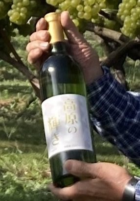 23年産は「大化けした」 高原の輝きをワイン祭りで飲み比べ 長野県阿南町新野