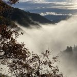 晩秋の雲海　通勤でこの景色！思わず車を降りた